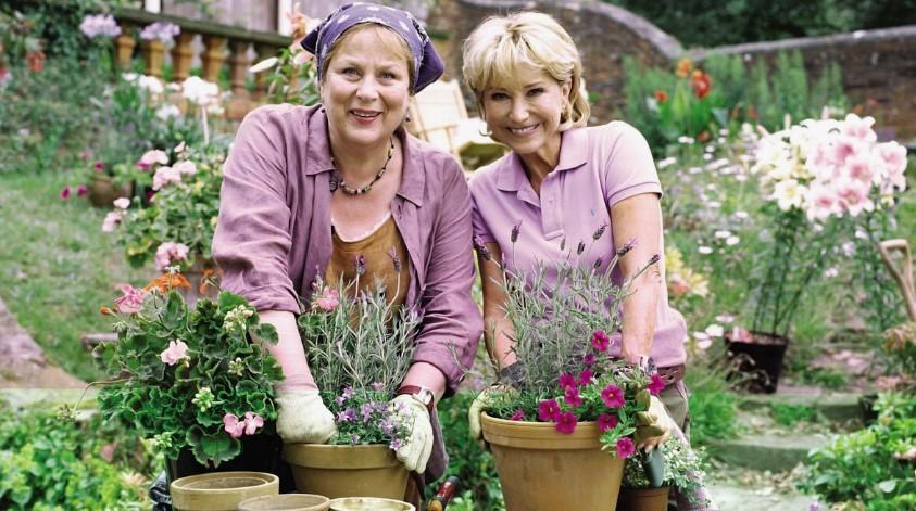 Розмари и Тайм